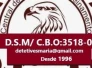 Logo de SM Detetive Particular